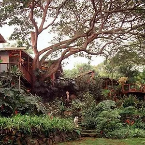 https://dragonfly-ranch.hotelsinhawaii.org